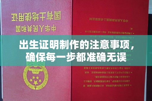 利辛出生证明制作的注意事项，确保每一步都准确无误