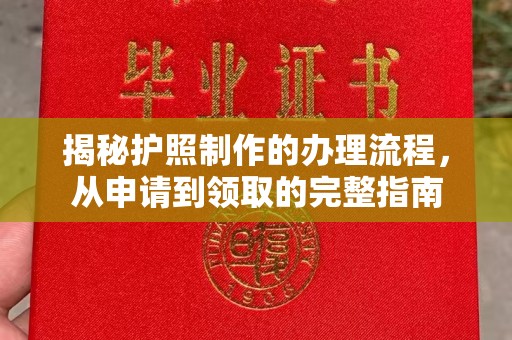 利辛揭秘护照制作的办理流程，从申请到领取的完整指南